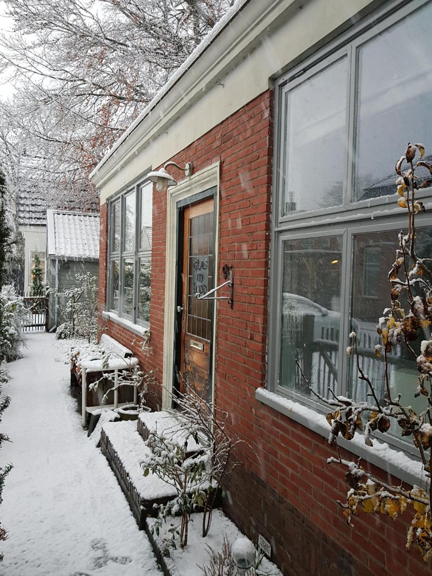 Onder De Beukenboom * Nieuwe Pekela