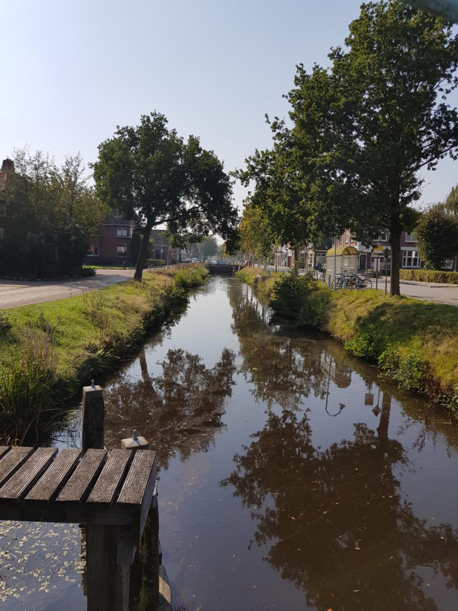 Onder De Beukenboom * Nieuwe Pekela