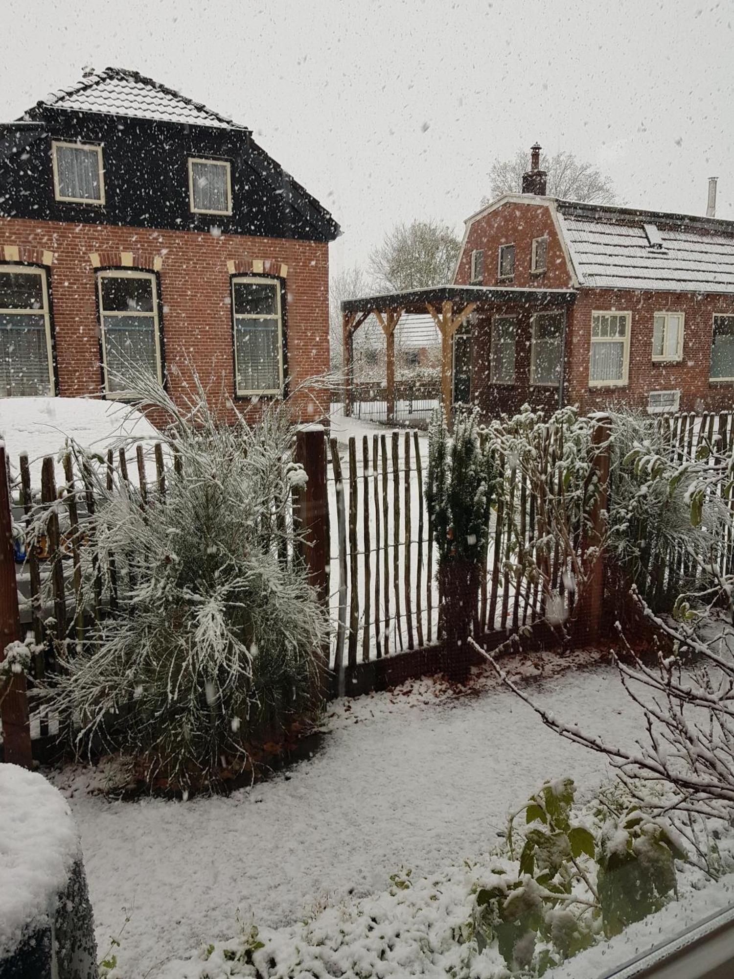 Onder De Beukenboom Apartment Nieuwe Pekela